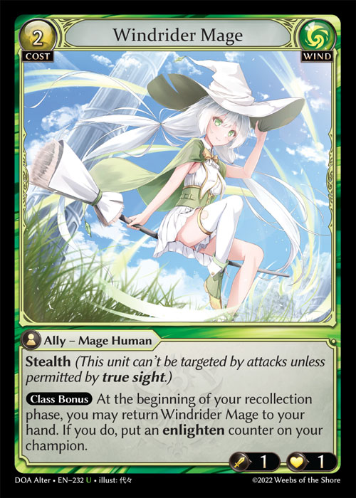 Top 5 User: Windrider Mage