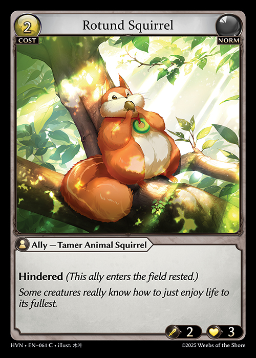 Rotund Squirrel