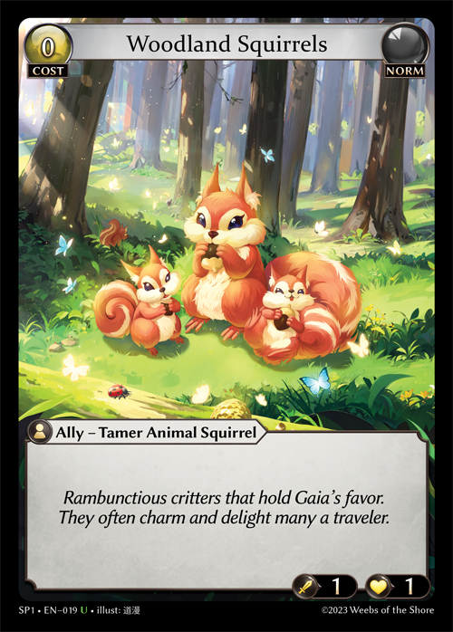 Woodland Squirrels